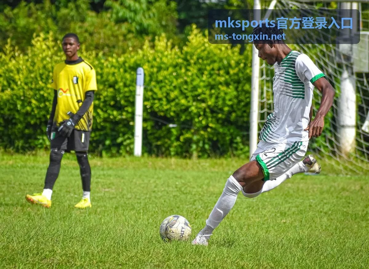 mksports官方登录入口历史数据对比内容预览