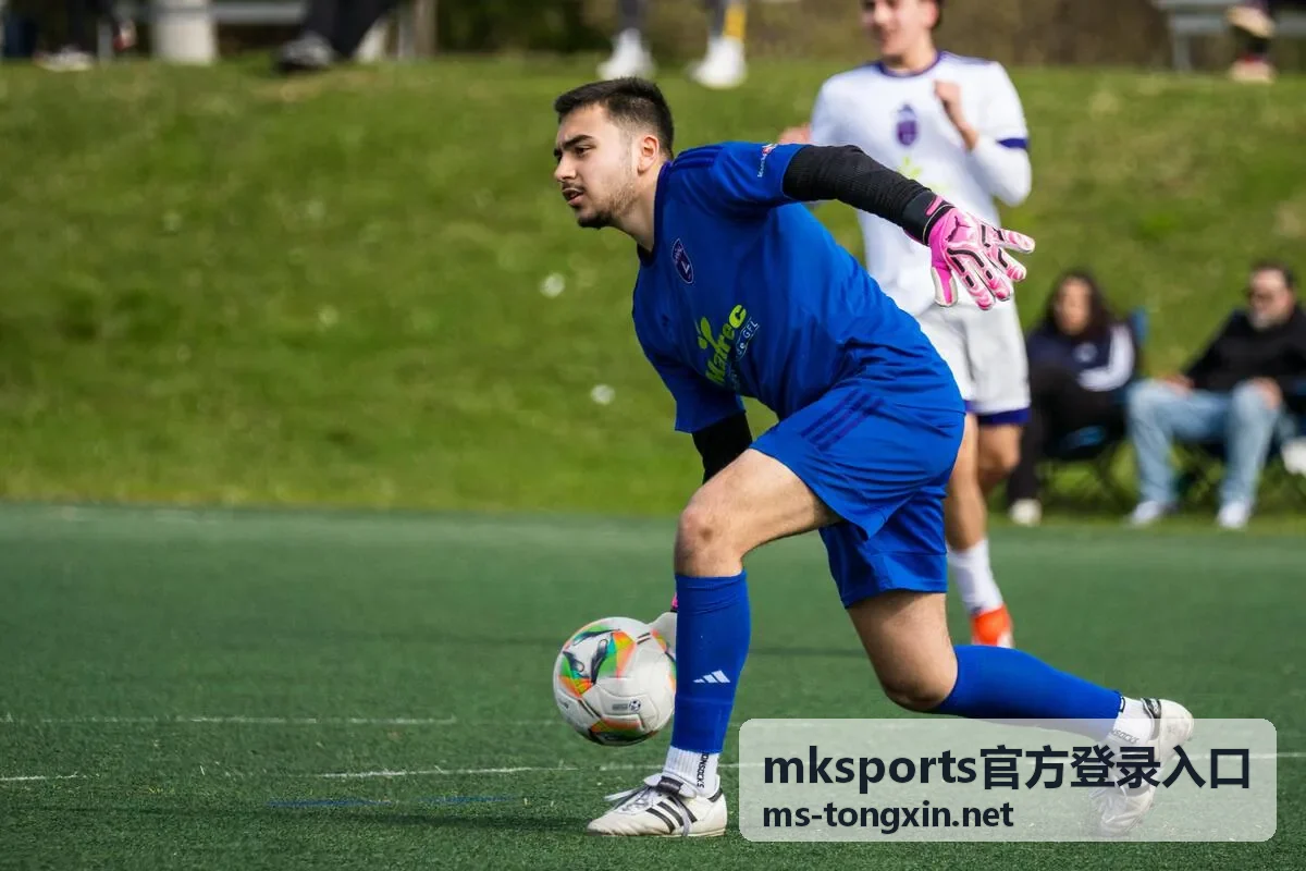 mksports官方登录入口账号安全的登录环境与设备确认示意